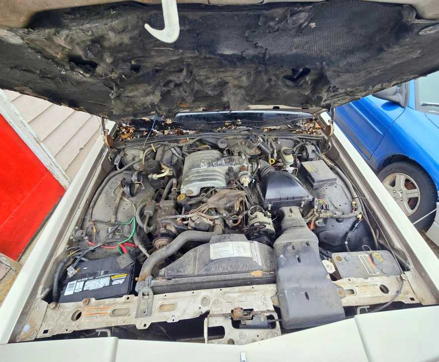 1991 Ford Crown Victoria - Image 15 of 15