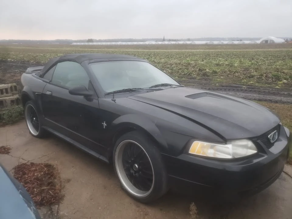 1991 Ford Mustang 3rd Gen - Image 6 of 18