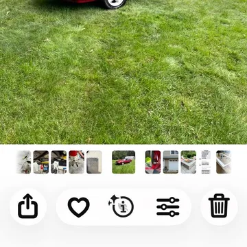 1991 Ford Mustang LX 5.0 Hatchback