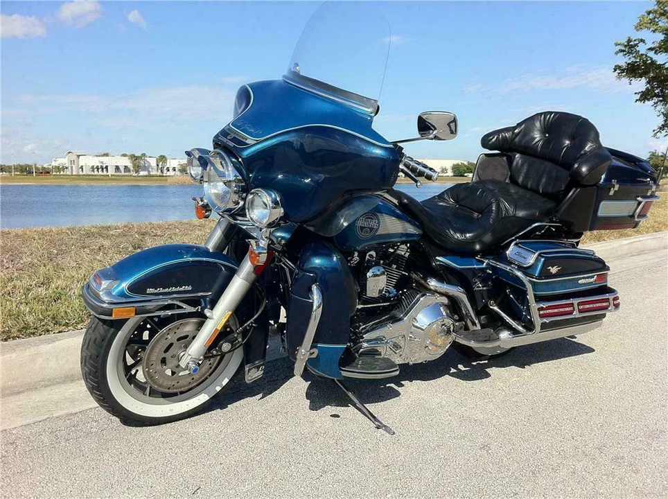 1991 Harley-Davidson Panhead - Image 2 of 5