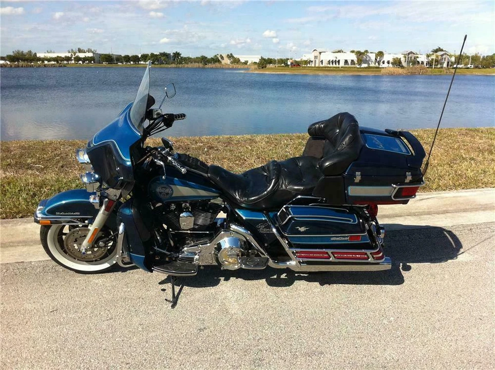 1991 Harley-Davidson Panhead - Image 5 of 5