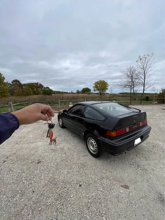 1991 Honda CR-X 2nd Gen - Image 13 of 13