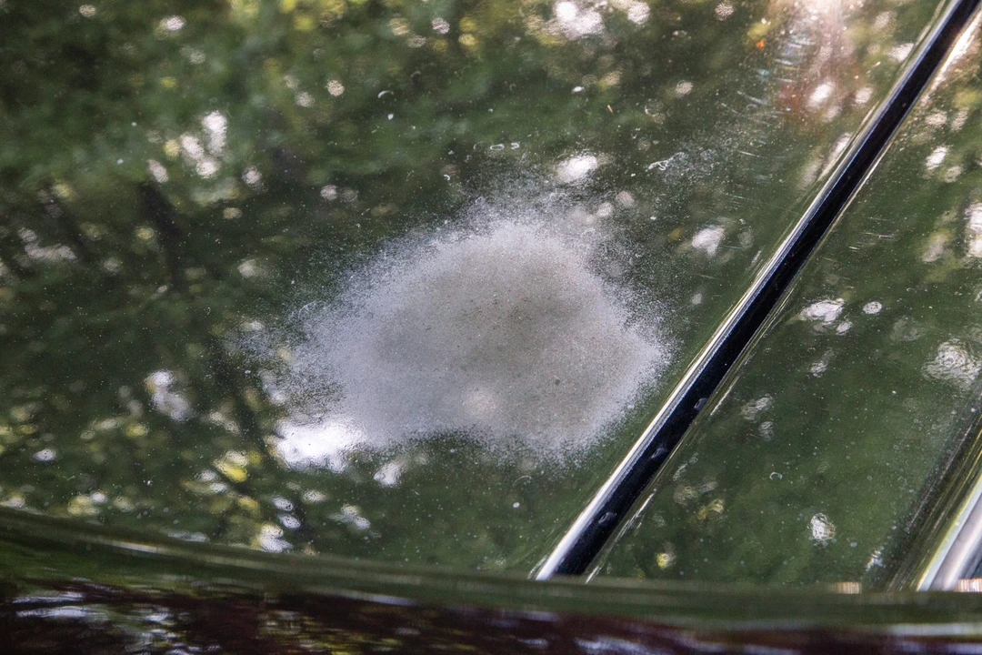1991 Jaguar XJS Pre-Facelift V12 - Image 31 of 31