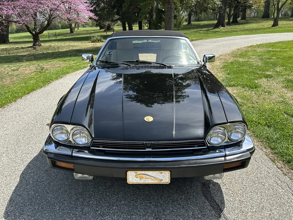 1991 Jaguar XJS Pre-Facelift V12 - Image 11 of 31