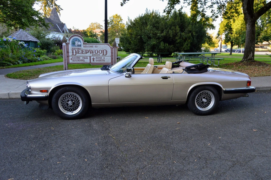 1991 Jaguar XJS Pre-Facelift V12 - Image 4 of 31