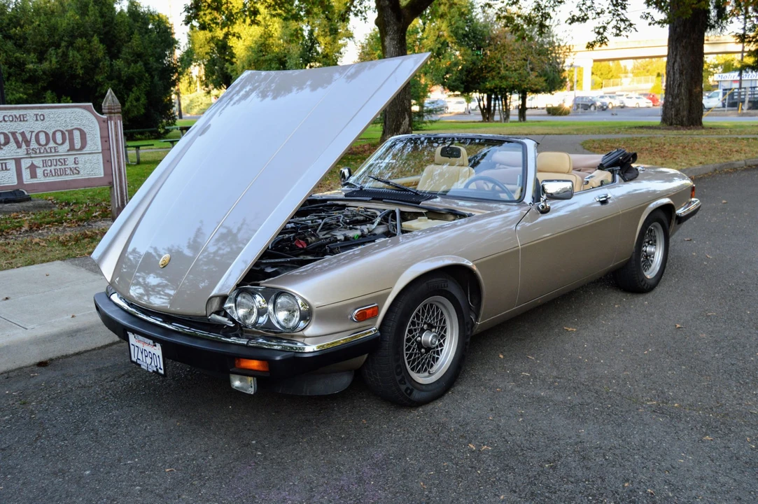 1991 Jaguar XJS Pre-Facelift V12 - Image 25 of 31