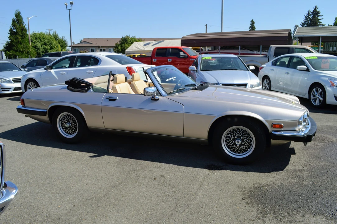1991 Jaguar XJS Pre-Facelift V12 - Image 14 of 31