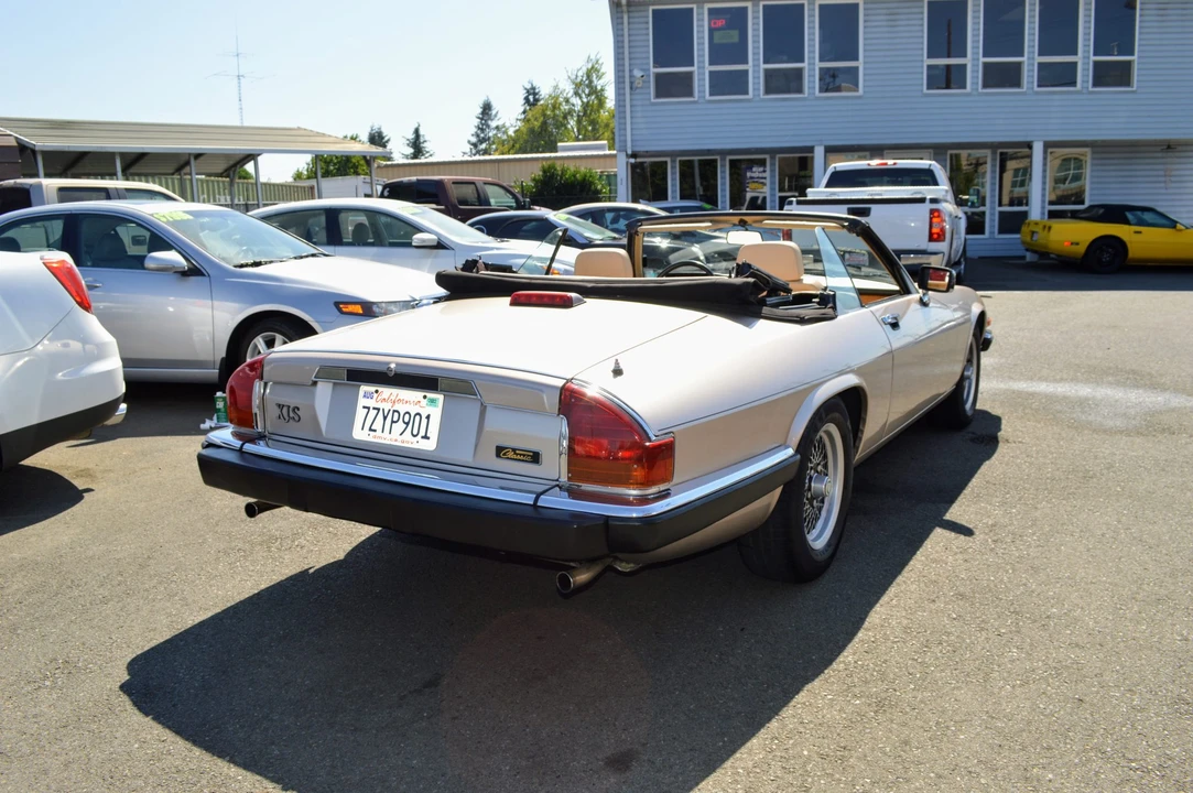 1991 Jaguar XJS Pre-Facelift V12 - Image 10 of 31