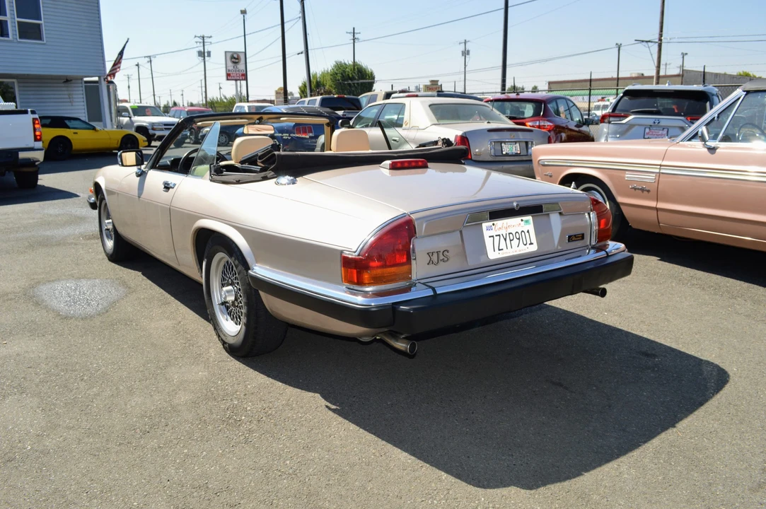 1991 Jaguar XJS Pre-Facelift V12 - Image 6 of 31