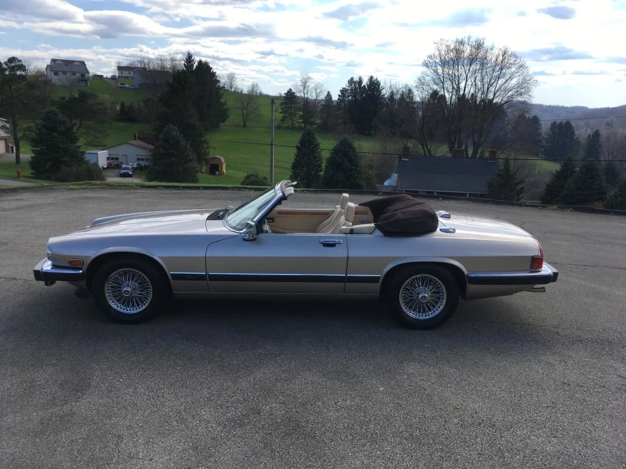 1991 Jaguar XJS Pre-Facelift V12 - Image 8 of 9
