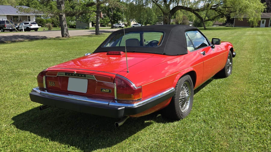 1991 Jaguar XJS Convertible - Image 3 of 15