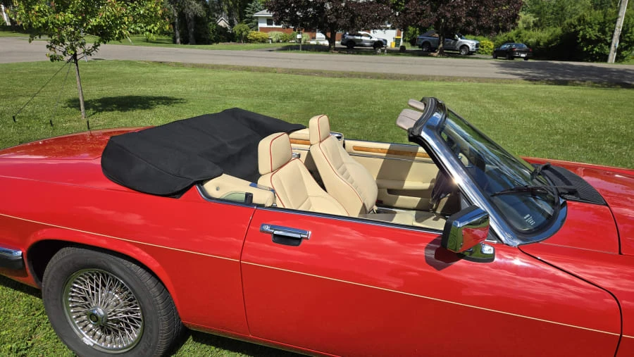 1991 Jaguar XJS Convertible - Image 13 of 15
