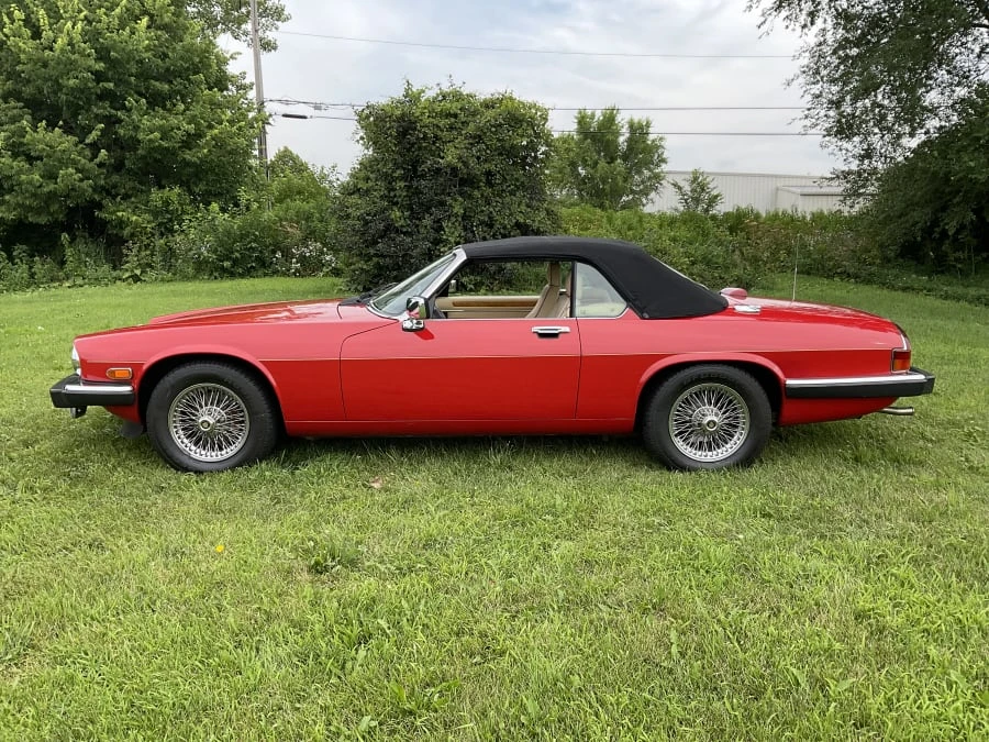 1991 Jaguar XJS Convertible - Image 5 of 15