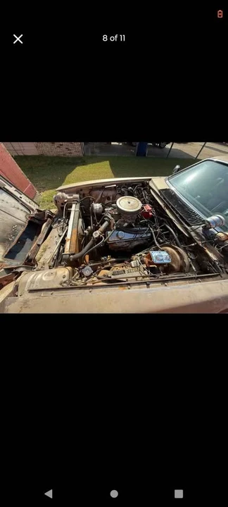 1991 Jaguar XJS - Image 7 of 7