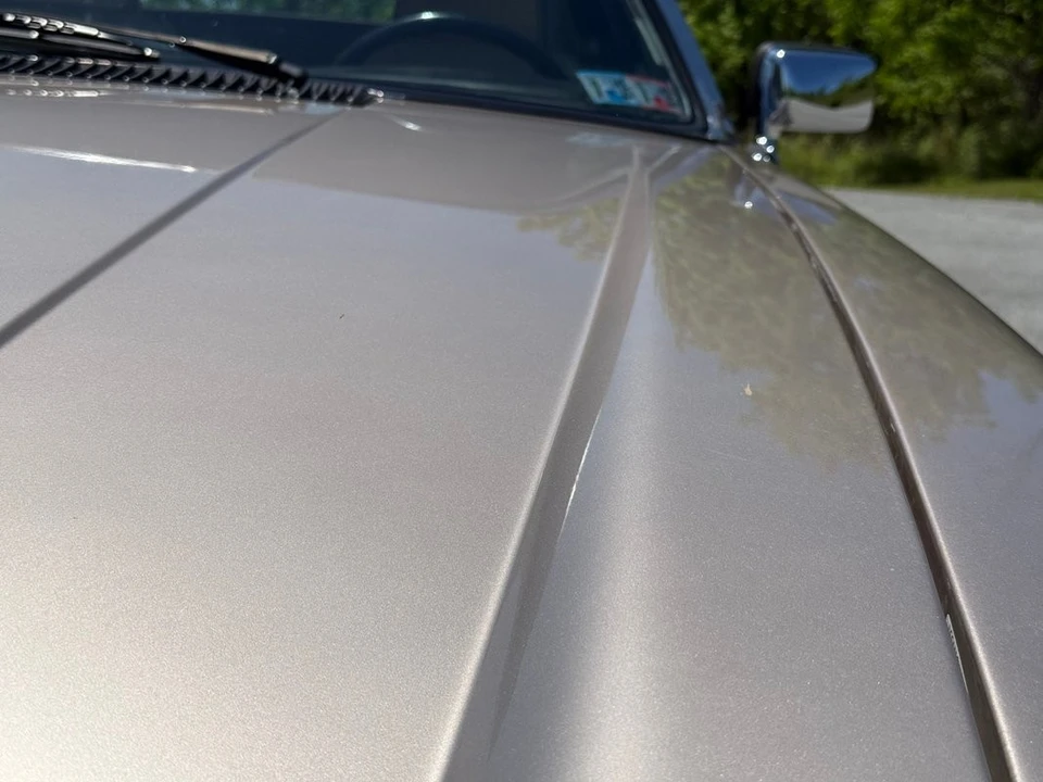 1991 Jaguar XJS - Image 14 of 31