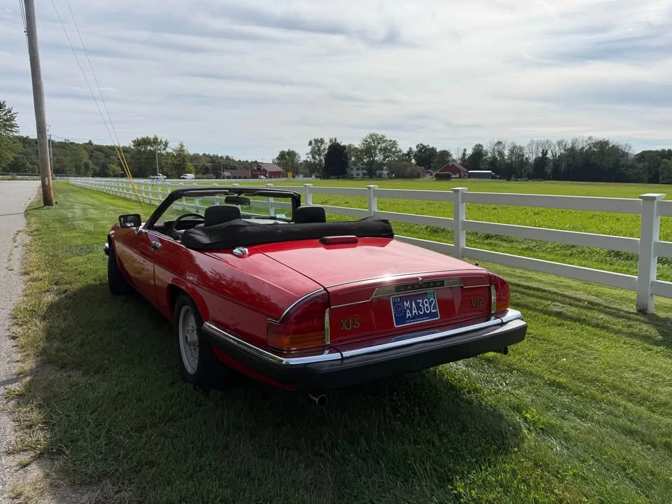1991 Jaguar XJS Convertible - Image 3 of 20