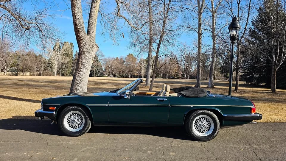 1991 Jaguar XJS - Image 8 of 18