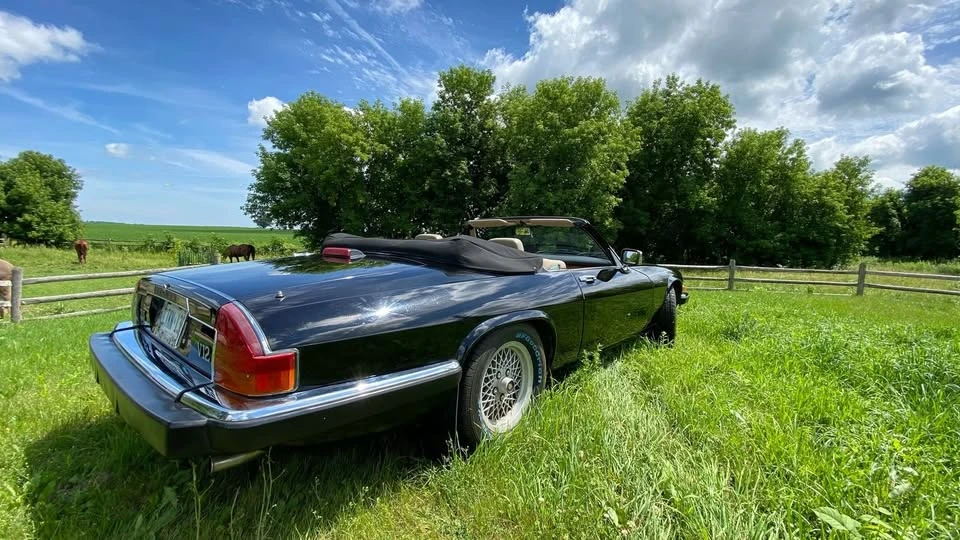 1991 Jaguar XJS Convertible - Image 6 of 12