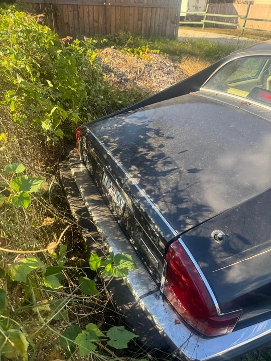 1991 Jaguar XJS - Image 6 of 13