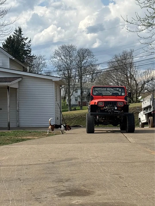 1991 Jeep YJ Wrangler - Image 4 of 8