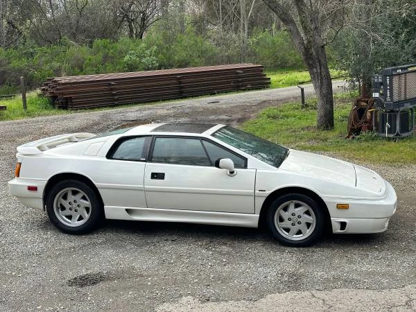 1991 Lotus Esprit X180 - Image 7 of 19