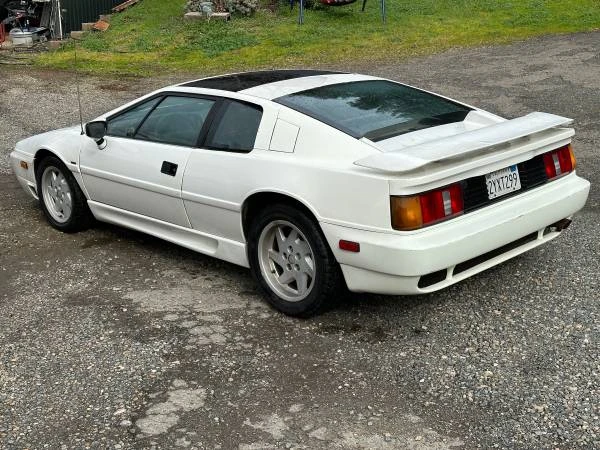 1991 Lotus Esprit X180 - Image 12 of 19