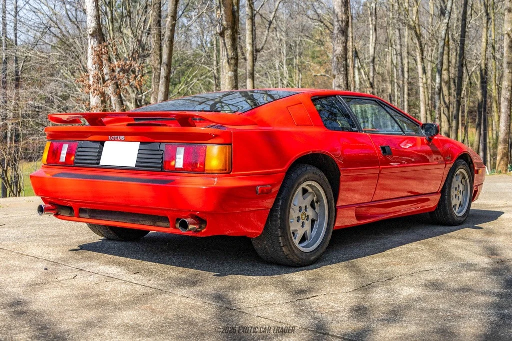 1991 Lotus Esprit Series 3 & Turbo - Image 8 of 24
