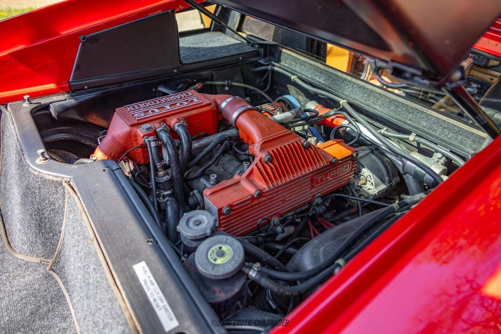 1991 Lotus Esprit Series 3 & Turbo - Image 19 of 24