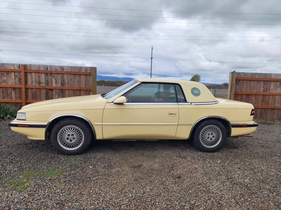 1991 Maserati 222 - Image 5 of 20
