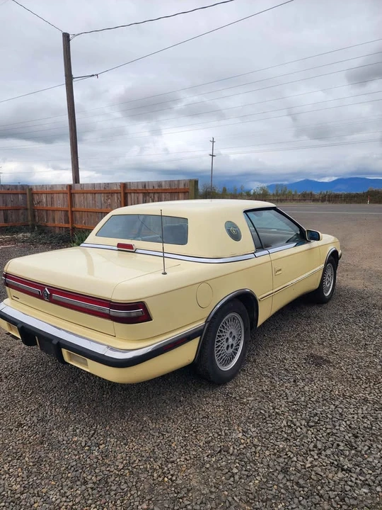 1991 Maserati 222 - Image 9 of 20