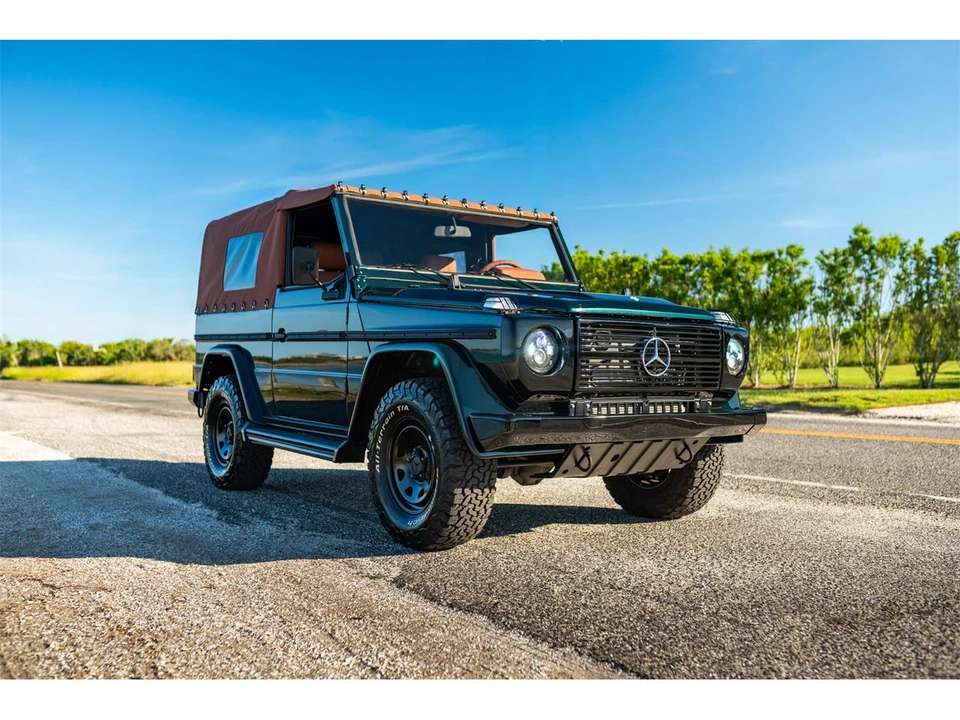 1991 Mercedes-Benz W460 G-Class - Image 11 of 21