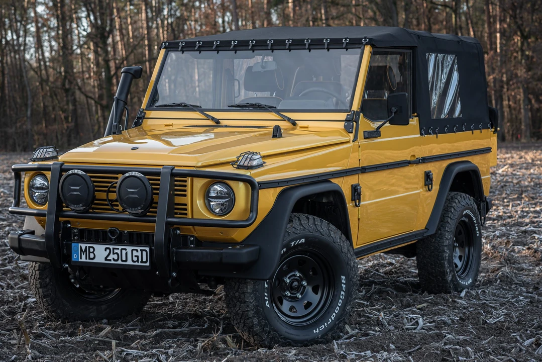 1991 Mercedes-Benz W460 G-Class - Image 3 of 31