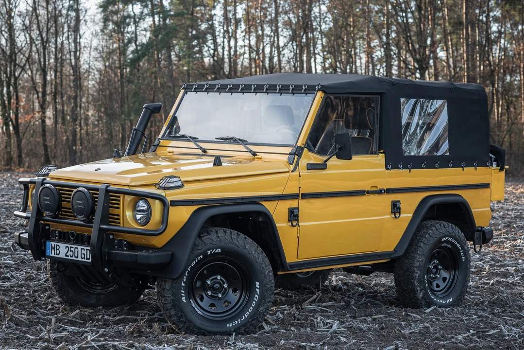 1991 Mercedes-Benz W460 G-Class - Image 4 of 31