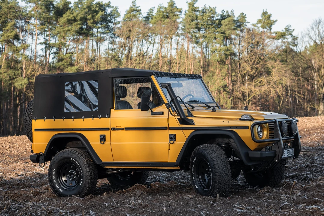 1991 Mercedes-Benz W460 G-Class - Image 16 of 31