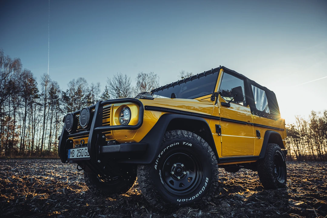 1991 Mercedes-Benz W460 G-Class - Image 21 of 31