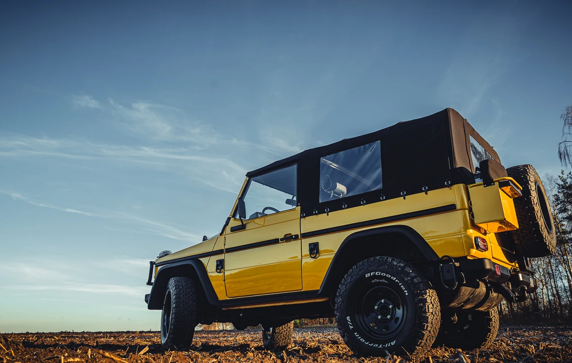 1991 Mercedes-Benz W460 G-Class - Image 22 of 31