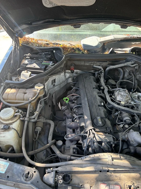 1991 Mercedes-Benz W124 E-Class - Image 14 of 18