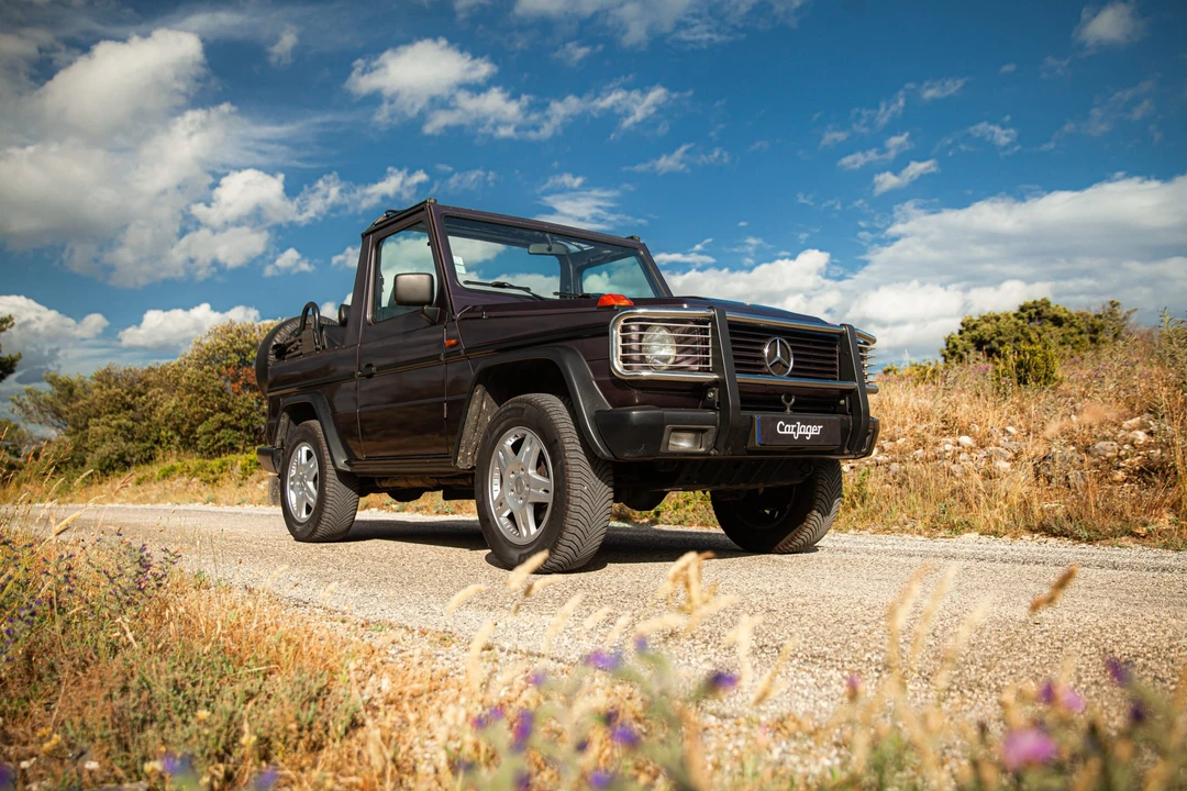 1991 Mercedes-Benz W463 G-Class - Image 10 of 31