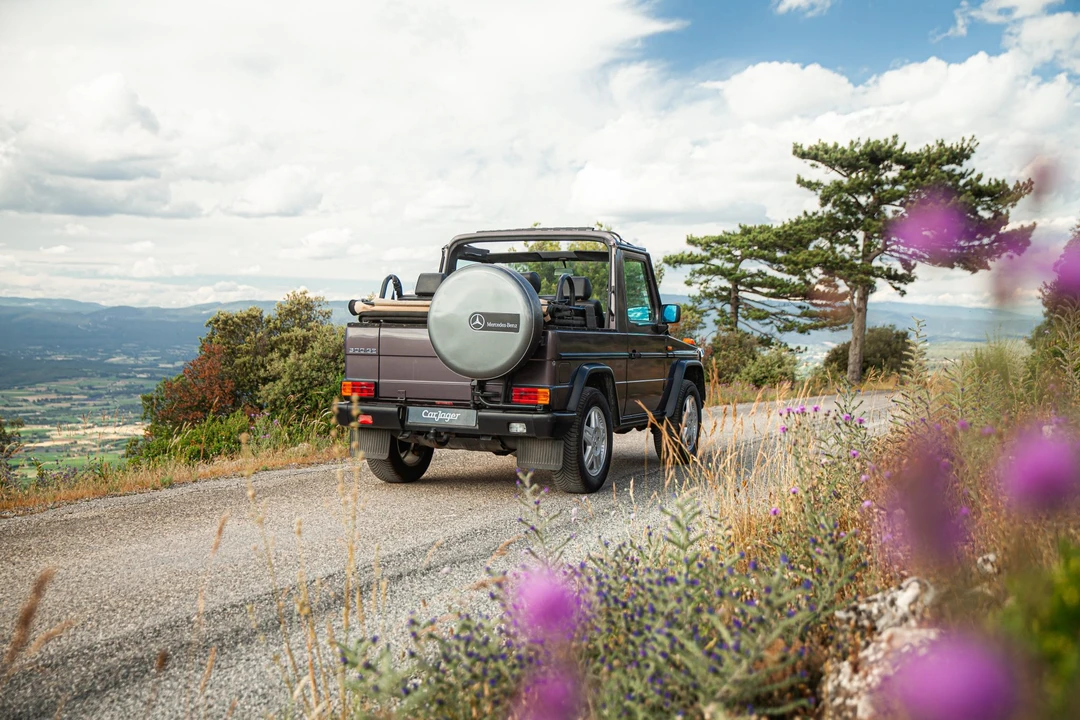 1991 Mercedes-Benz W463 G-Class - Image 5 of 31