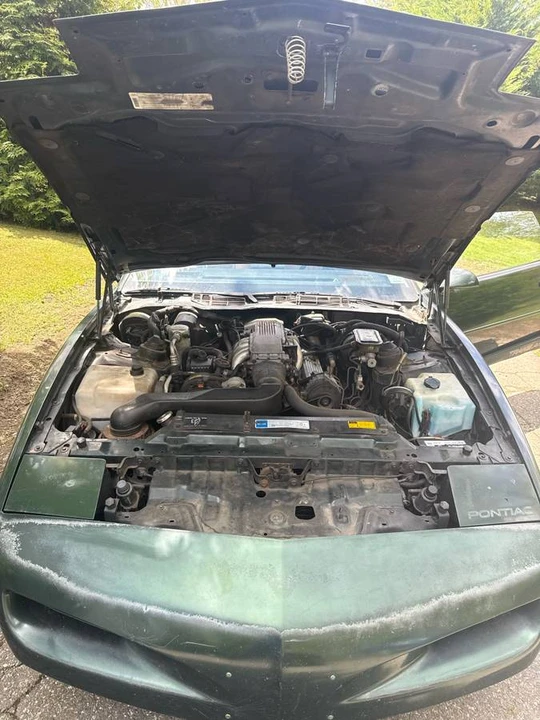 1991 Pontiac Firebird Trans Am 3rd Gen - Image 11 of 11