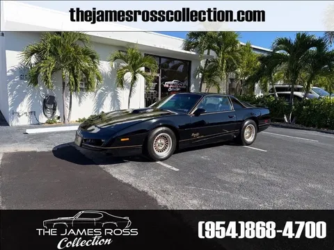 1991 Pontiac Firebird Bandit II SE