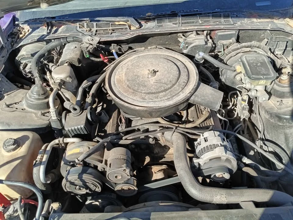 1991 Pontiac Firebird 3rd Gen - Image 9 of 9