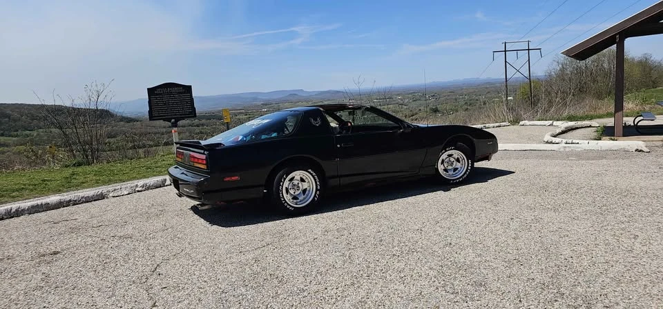 1991 Pontiac Firebird 3rd Gen - Image 15 of 18