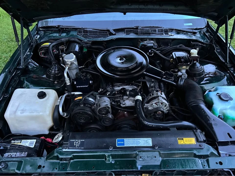 1991 Pontiac Firebird Formula 3rd Gen - Image 20 of 20