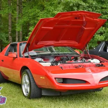 1991 Pontiac Firebird Formula Coupe 2D