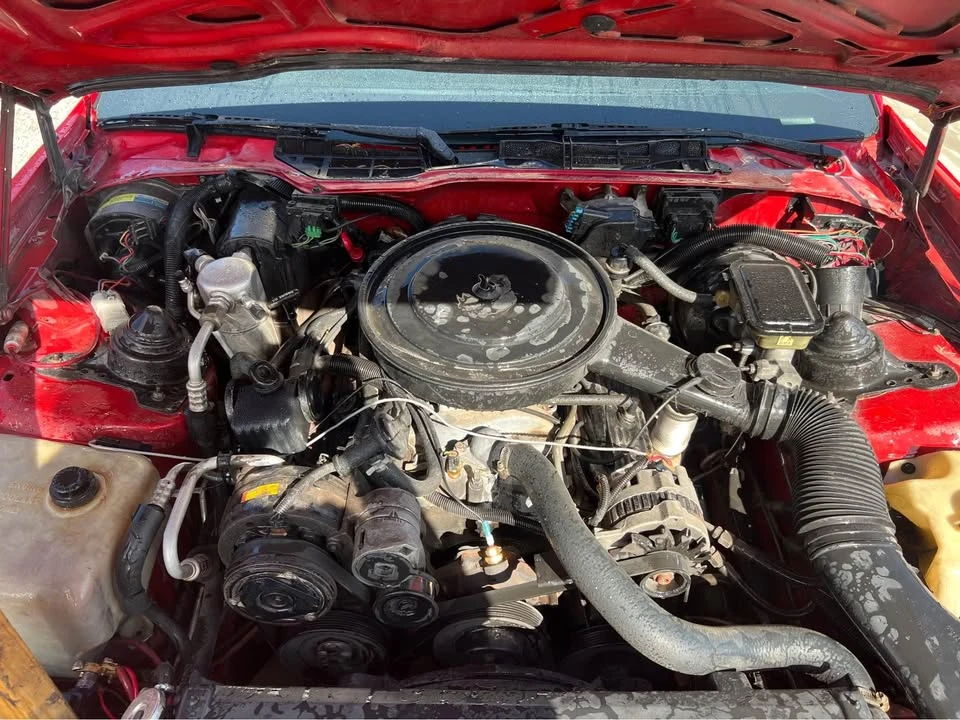 1991 Pontiac Firebird Formula 3rd Gen - Image 16 of 16