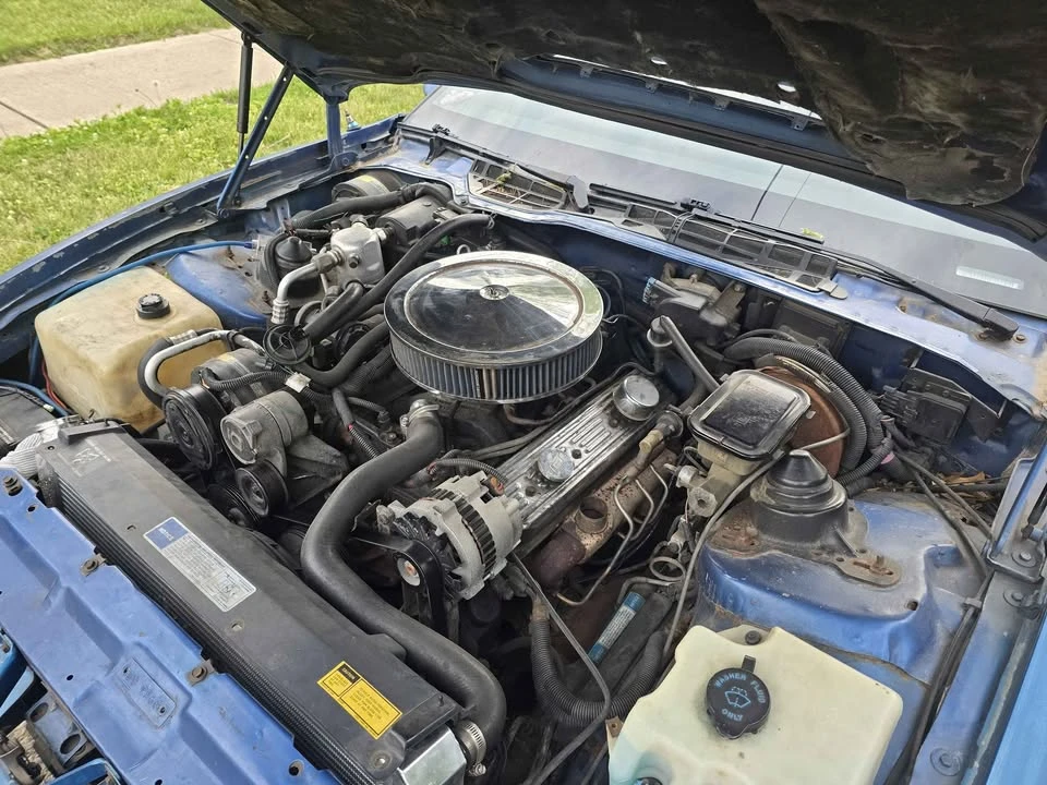 1991 Pontiac Firebird Formula 3rd Gen - Image 9 of 10