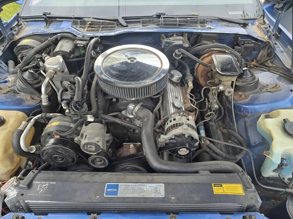 1991 Pontiac Firebird Formula 3rd Gen - Image 8 of 10