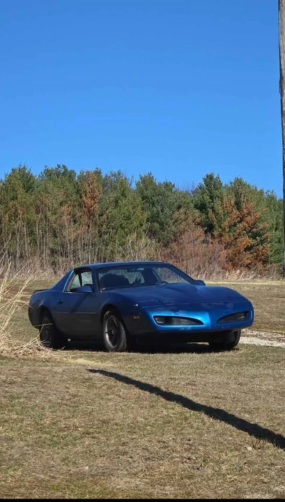 1991 Pontiac Firebird Formula 3rd Gen - Image 2 of 10
