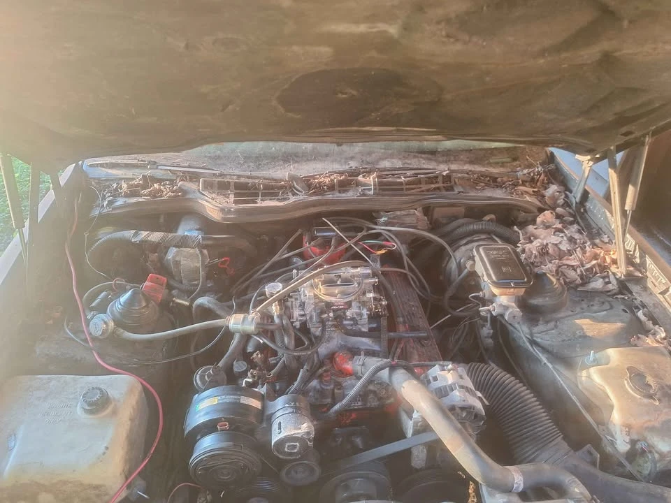1991 Pontiac Firebird Formula 3rd Gen - Image 7 of 10